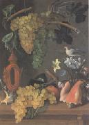 Still Life with Grapes (san 05)  Juan de  Espinosa